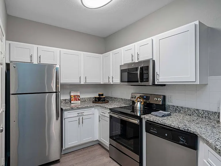 Gourmet kitchens in renovated homesfeature stainless steel appliances and tile backsplash.