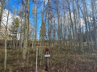 2180 Currant Way, Silverthorne, CO 80498