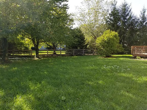 back yard