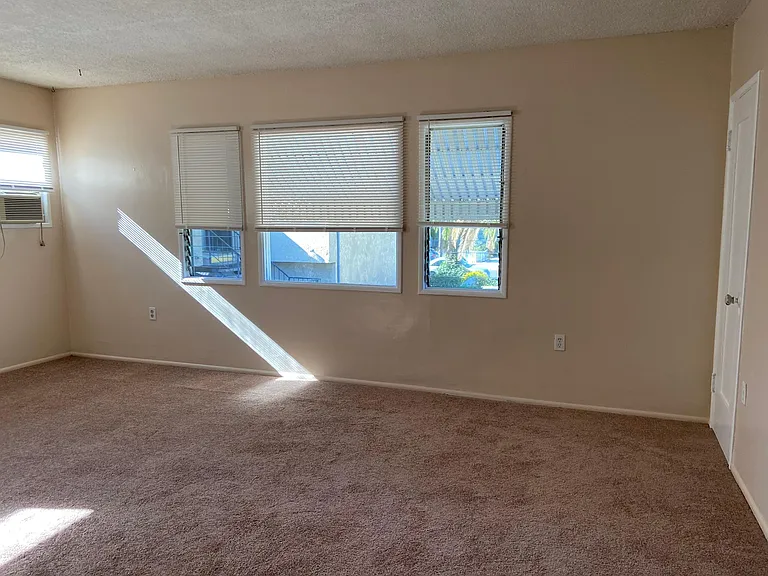 Large living room