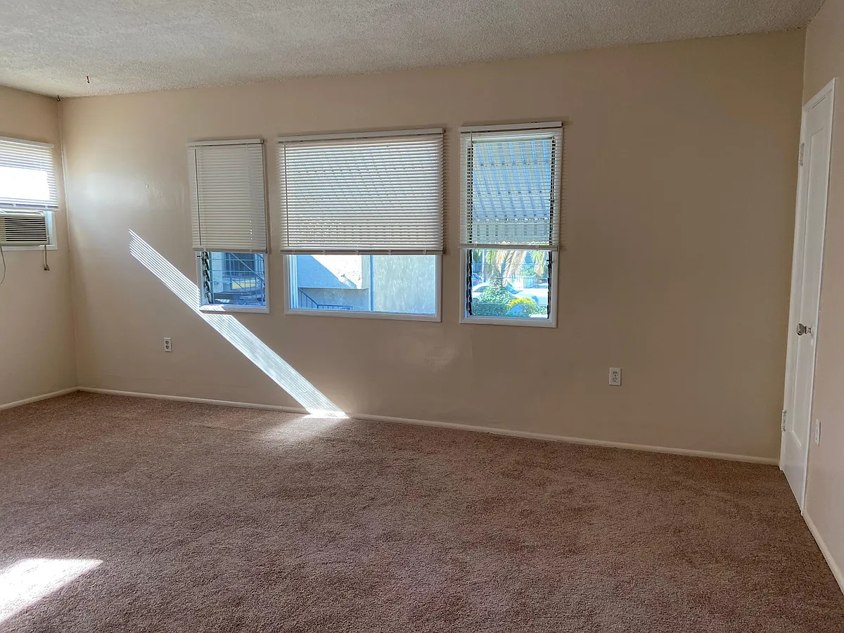 Large living room - 842 Coronado Ave