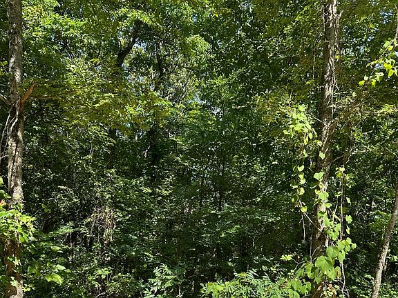 2nd image of 4 Heber Springs Rd