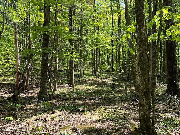 3rd image of 0 French Settlement Rd