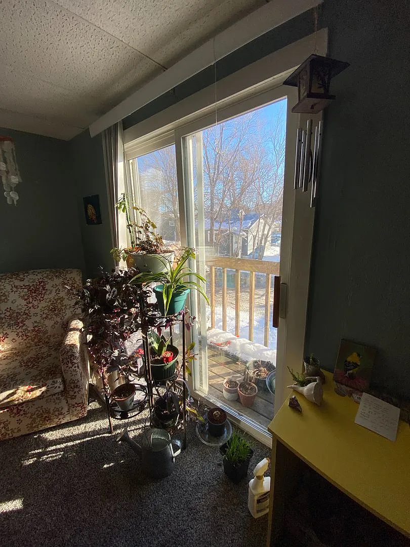 Two Bedroom Apartment Near Campus — Photo 4