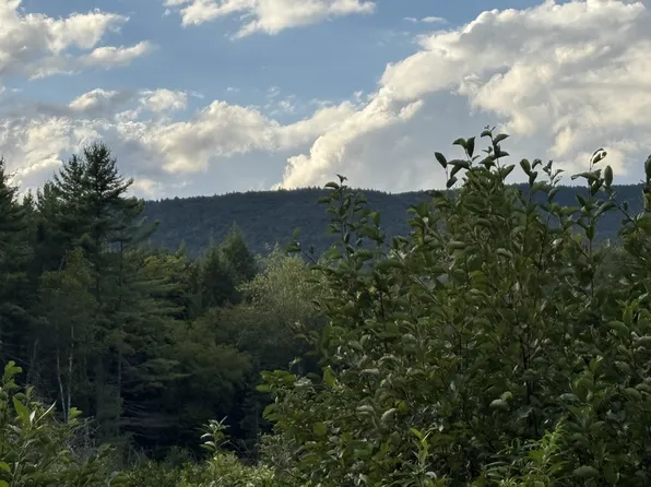 Cape Moonshine Road, Piermont, NH 03779