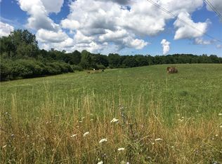 523 Darrow Rd, Mexico, NY 13114