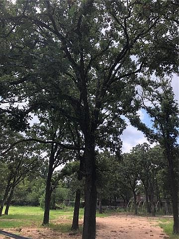 2nd image of 11006 Leeper Dr