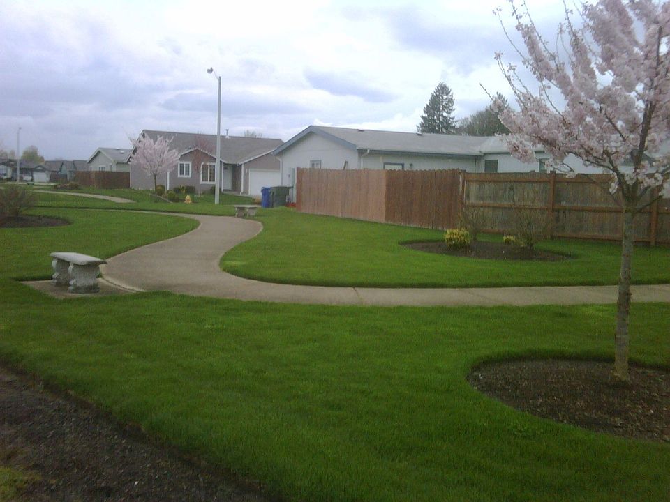 Neighborhood Walking Paths