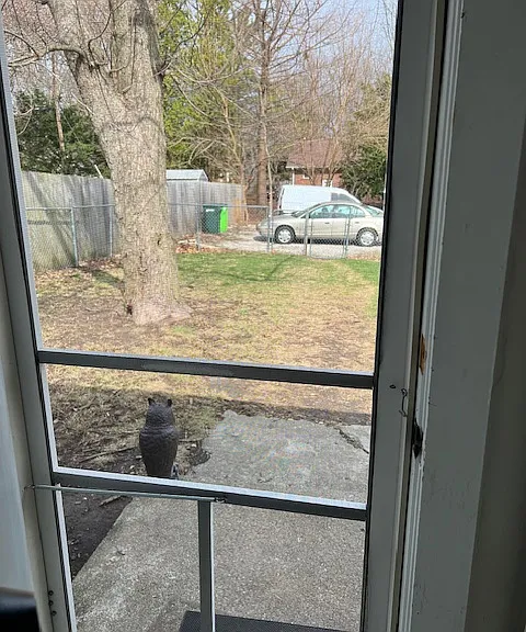 912 E Oregon St — Photo 13