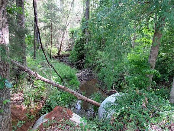 4th image of 14910 County Road 440