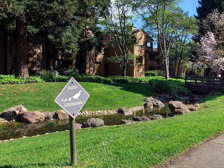 Shadow Creek Apartments — Photo 24