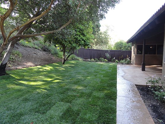 Newly landscaped Backyard