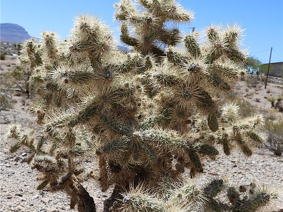 5th image of 470 W Silver Creek Rd