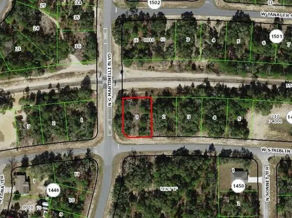 11241 N G Martinelli Blvd Lot 1, Dunnellon, FL 34433