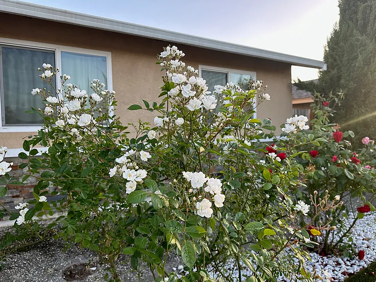 34641 Fielding Ct — Photo 5