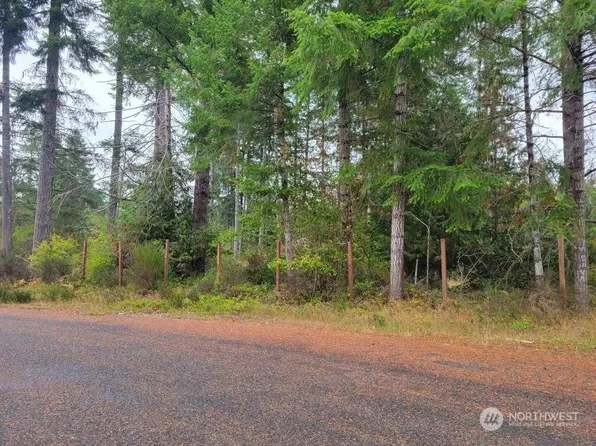 0 W Salmonberry Drive, Elma, WA 98541