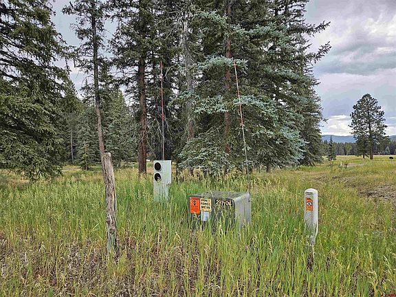 3rd image of 1229 W Vallecito Creek Road