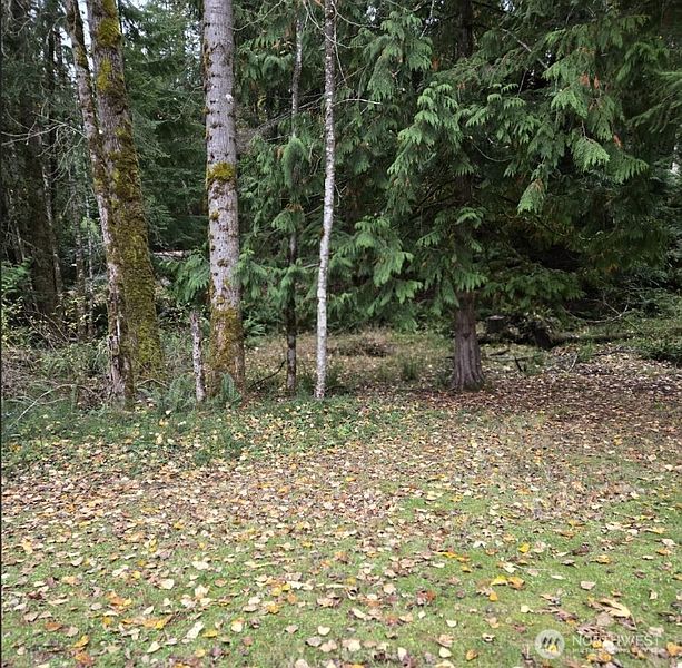3rd image of 8 Huckleberry Court