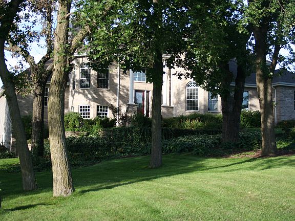 Professional Landscape