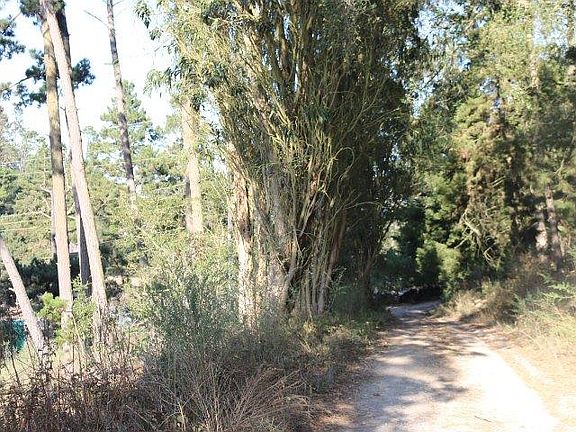 4th image of 3600 Viejo Rd