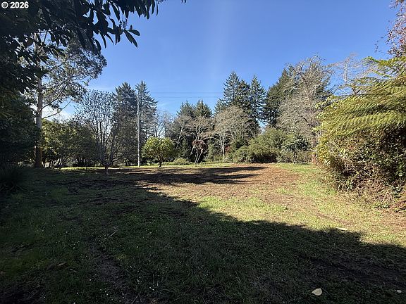 2nd image of 1300 Hampton Rd