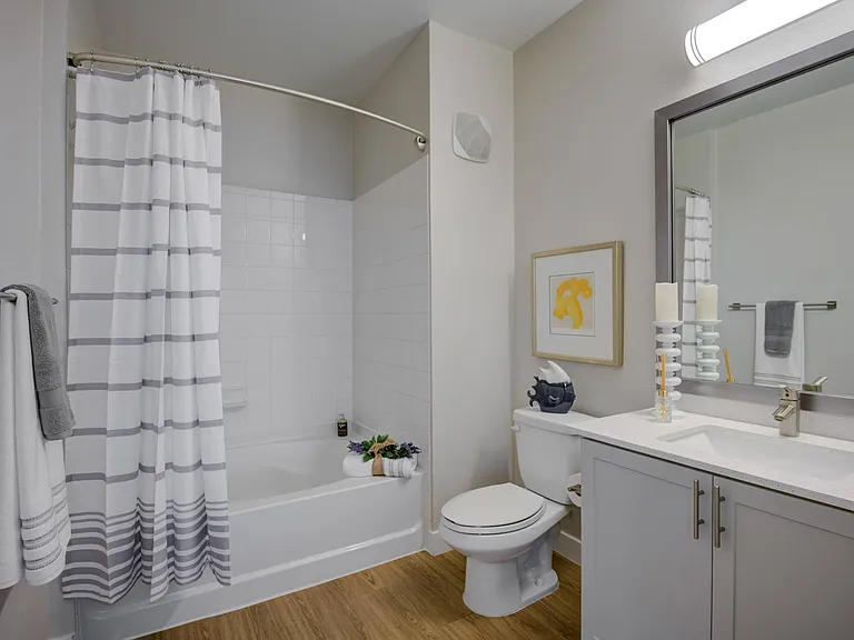 Master Bath (Platinum Renovation)