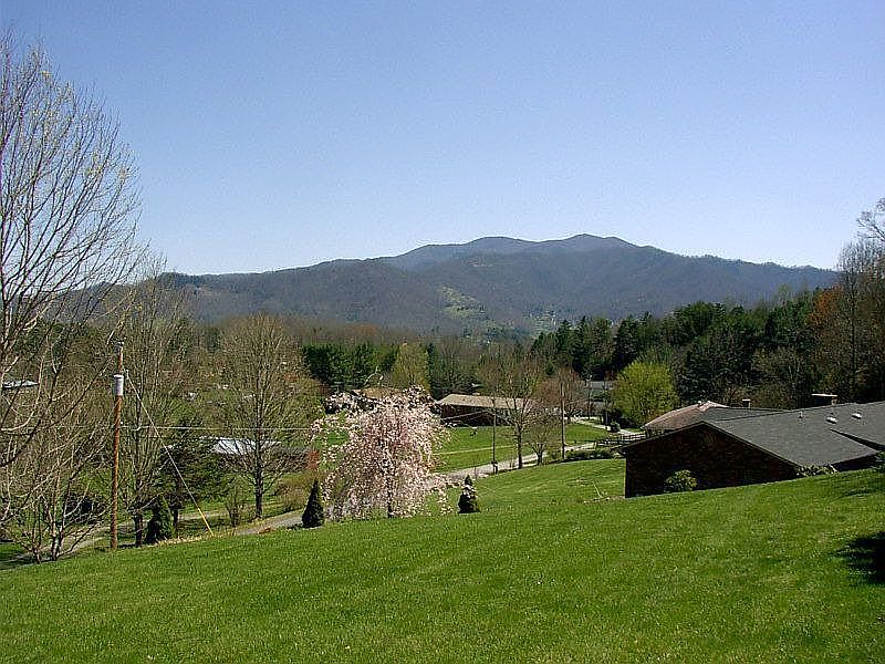 Spring view from front yard