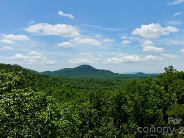 108 Mountain Brook Trl, Nebo, NC 28761