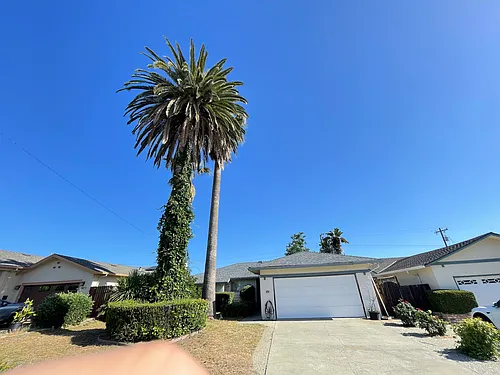 7659 Orange Blossom Dr Photo 1 7659 Orange Blossom Dr Photo 1