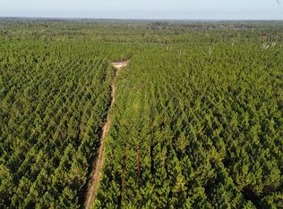 Tracts 10 And 1 Penny Morris Rd, Baxley, GA 31513