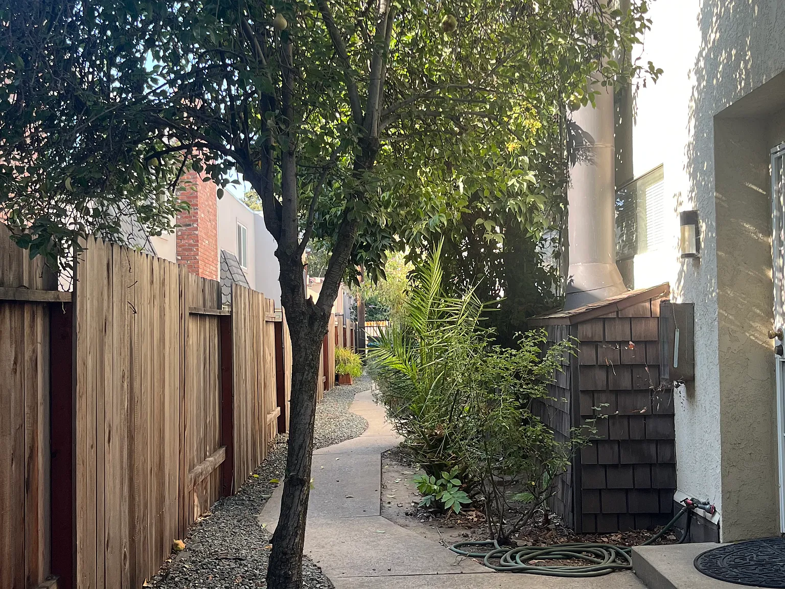 2 bed, 1100 sqft, $1,800 — Photo 2