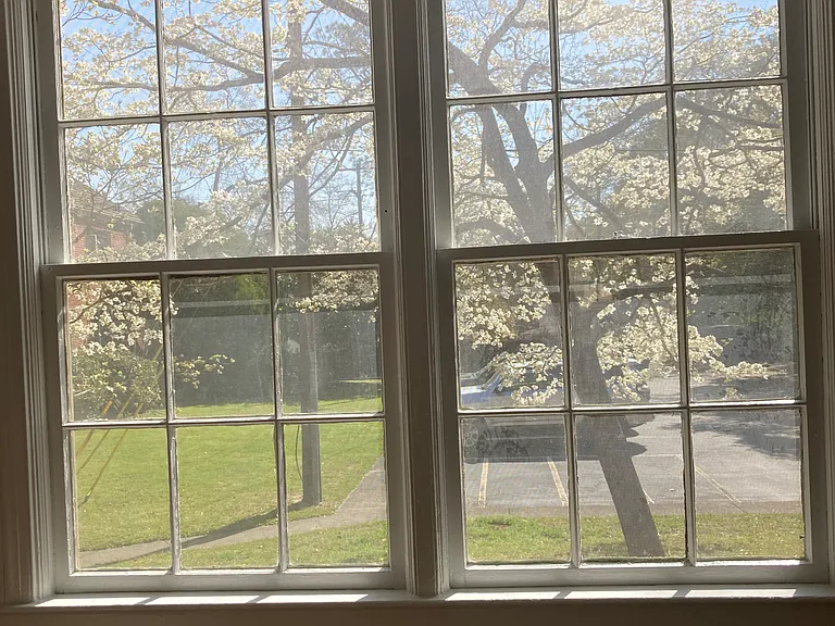 View from dining room window