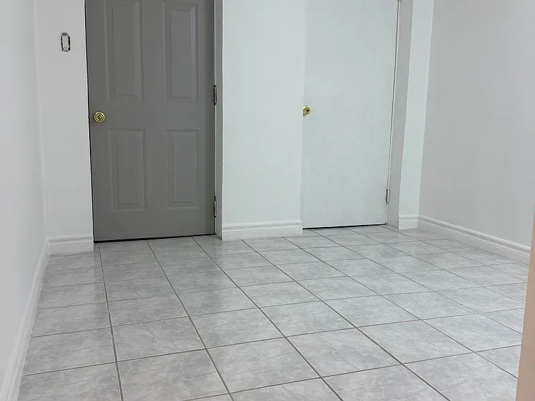 259 Tall Grass Trl #BASEMENT — Photo 16