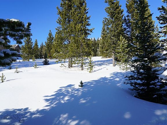 4th image of Tbd White Grass