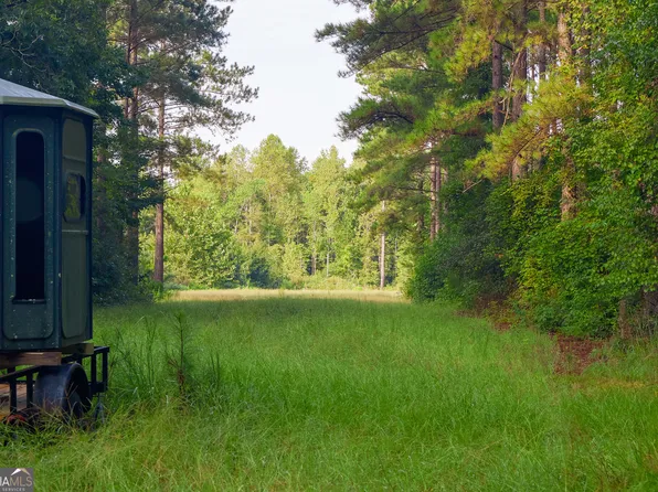 1362 Doyle Rd, Sardis, GA 30456