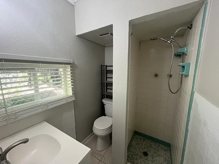 127 1/2 W Palmetto Ave — Photo 8
