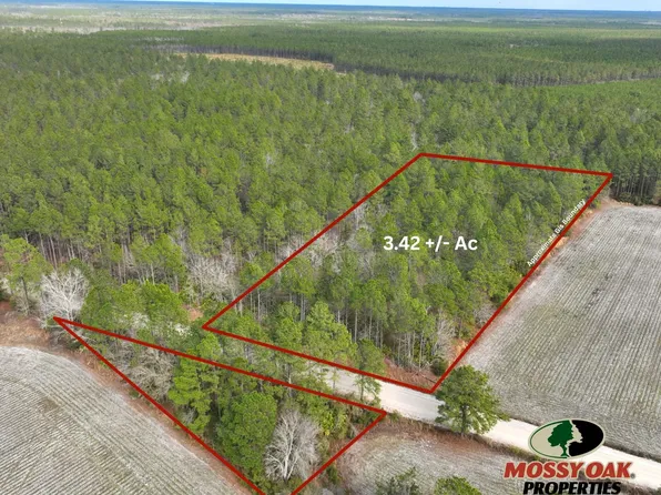 0 Aldrich Rd, Odum, GA 31555