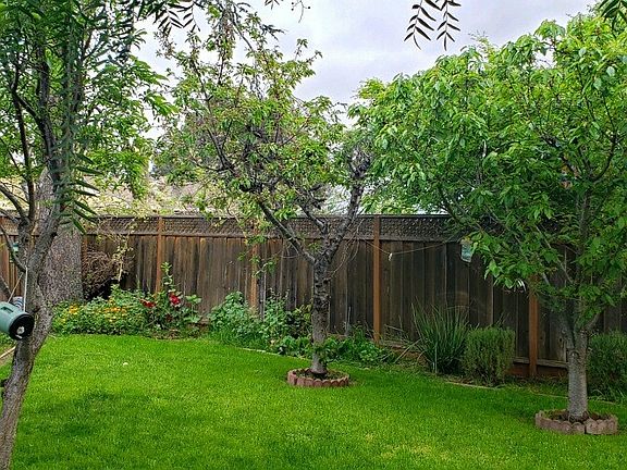 5th image of 1469 Daffodil Ct