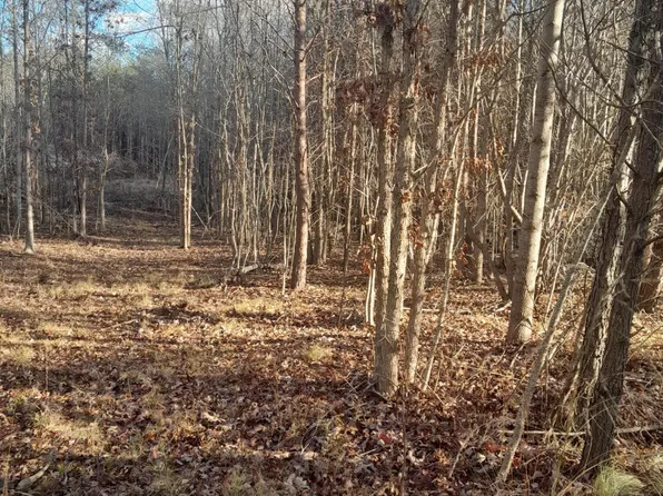 Meadow Ln, Spencer, TN 38585