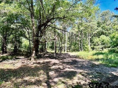 75 Acres Hwy #37, Clarksville, TX, 75426