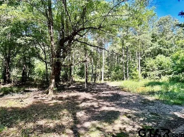 75 Acres Hwy #37, Clarksville, TX 75426