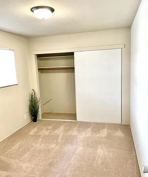 Bedroom 1 closet
