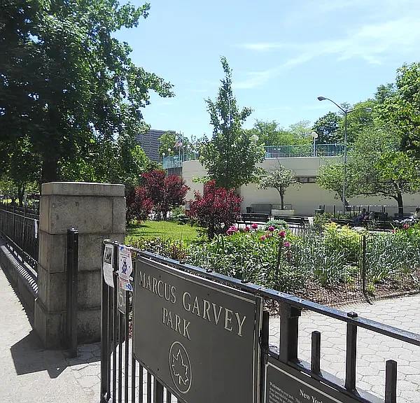 2030 Madison Ave #2D — Photo 15