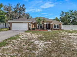 14061 White Plains St, Spring Hill, FL 34609