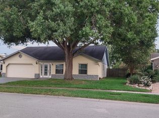 11217 Fiddlewood Dr, Riverview, FL 33579