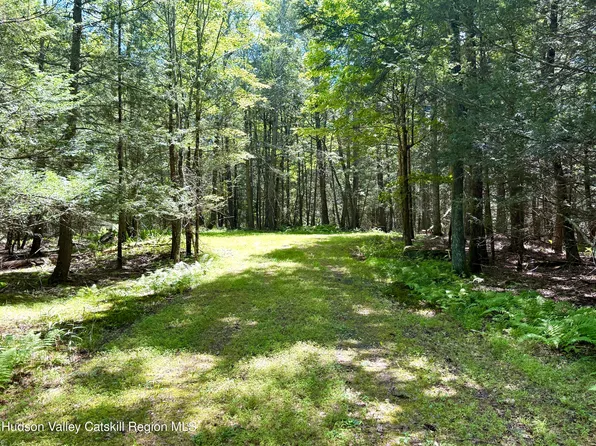 39 Mamoud Hills Road, Kingston, NY 12401