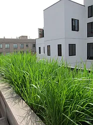 Sold by Halstead Real Estate