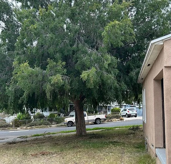 1835 Dayton Dr — Photo 18