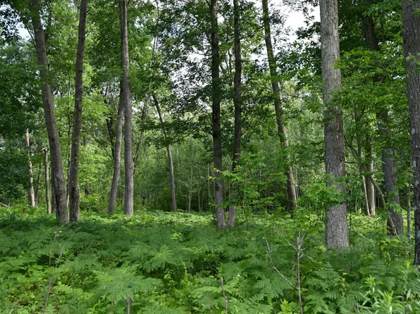 8887 Fosberg Rd, Siren, WI 54872