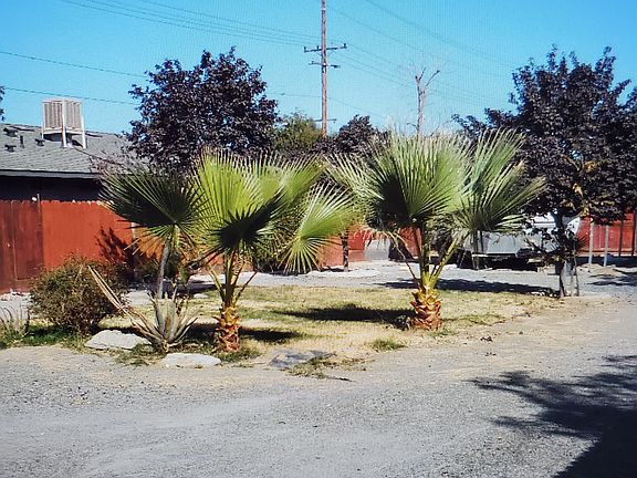 5th image of 126 W Lang St